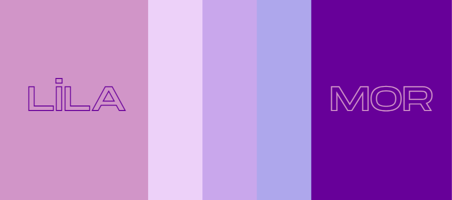 lila rengin mor renk ile spektrum halinde olan tonları