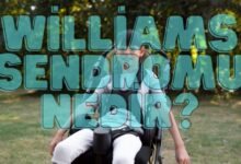 william sendromu nedir