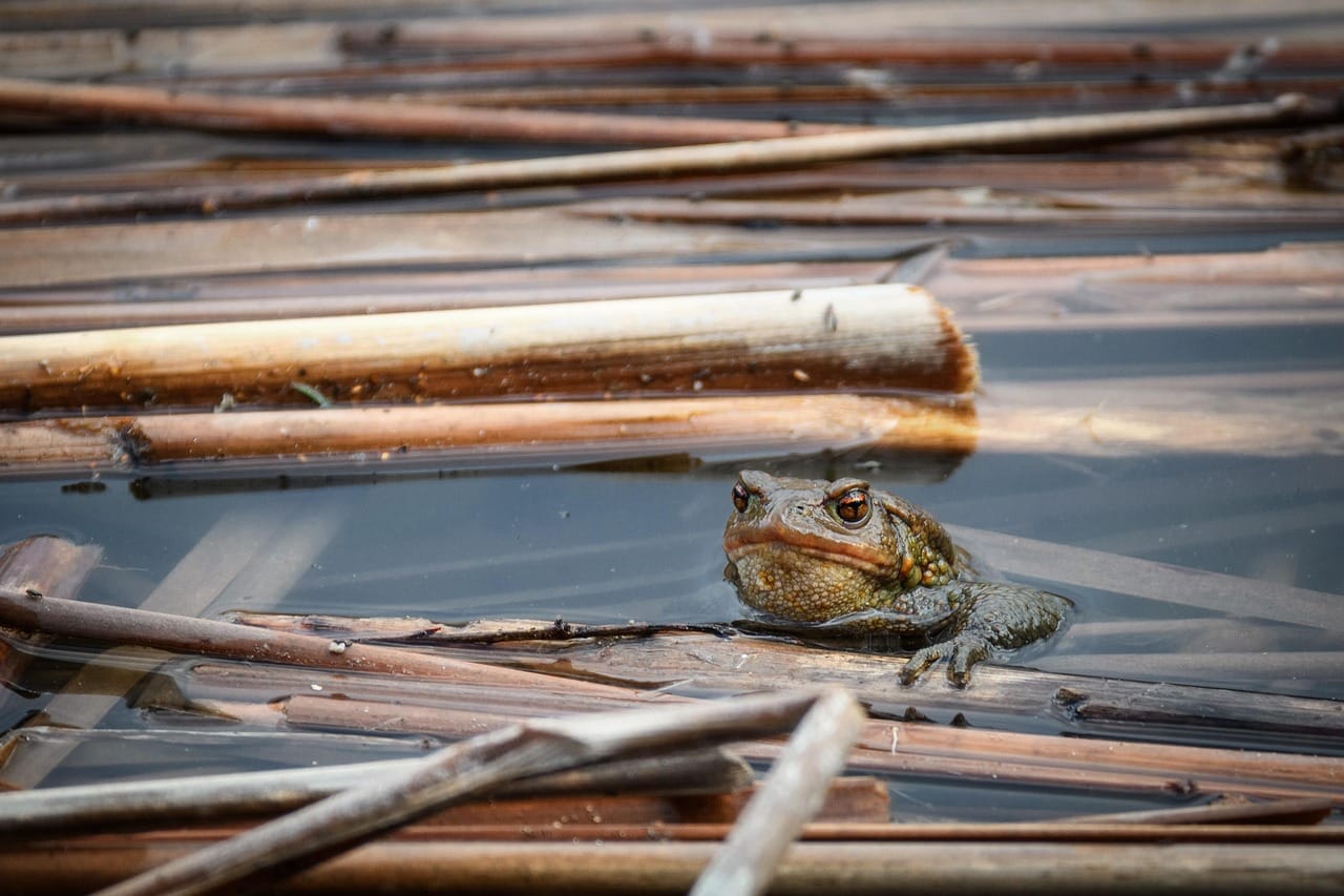 How (and Why) You Should Reevaluate Your Goals 