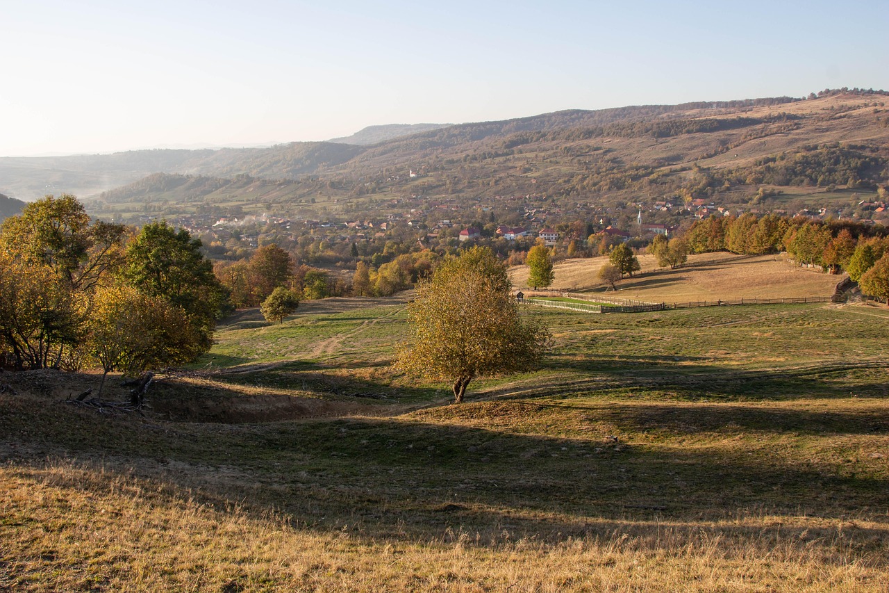 Hayata Bakış Açısı: Zenginlik ve Fakirlik Üzerine Bir Hikaye