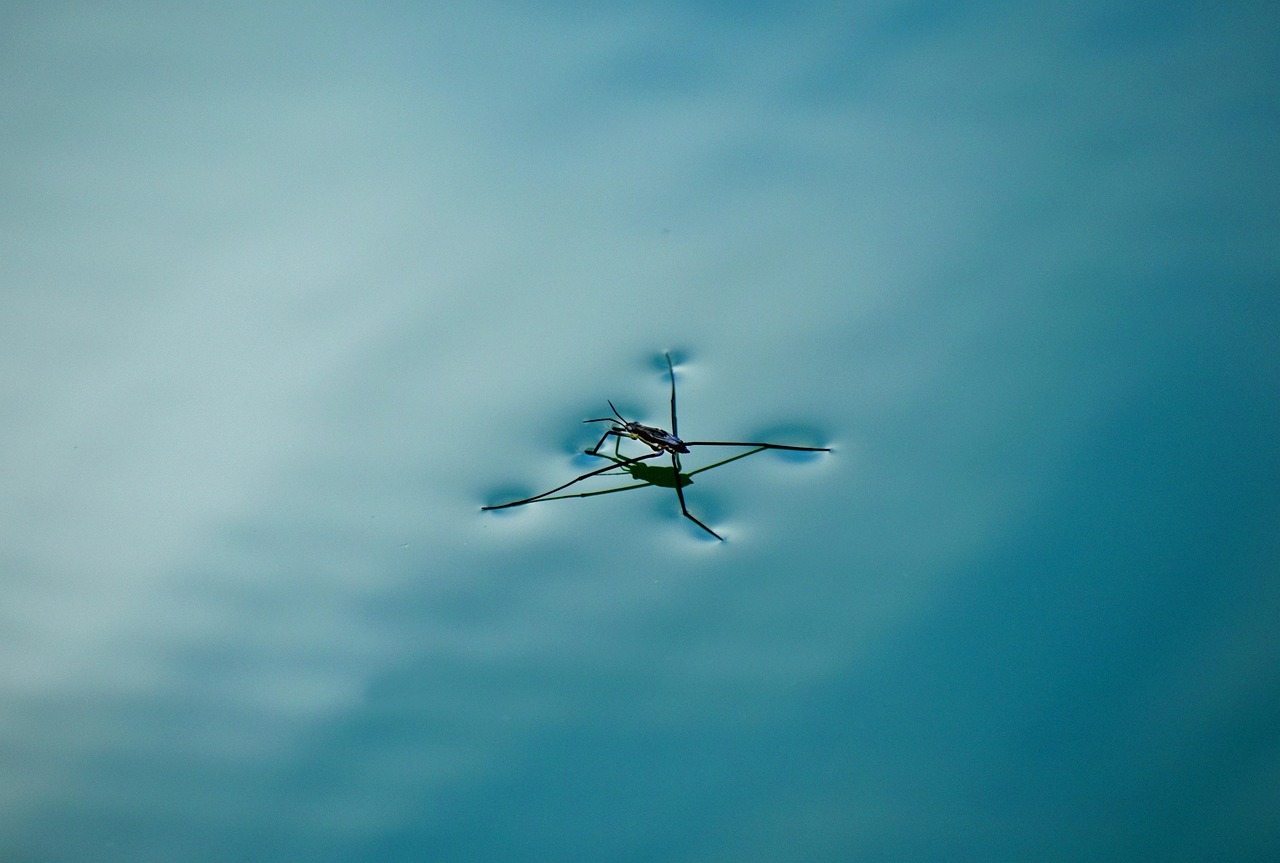 Kadınlar Neden Sizi Geri Takip Etmiyor? İşte Cevapları