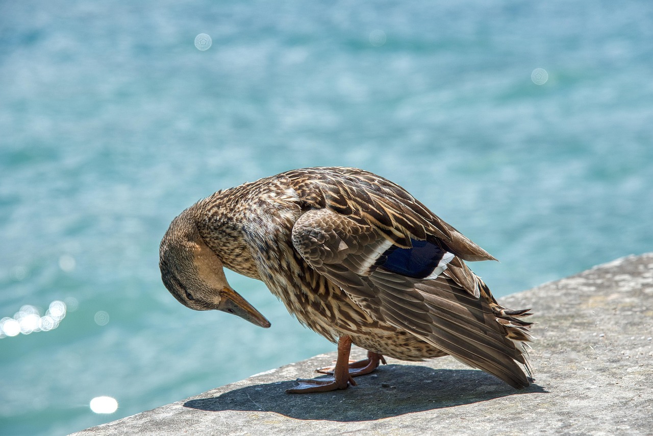 Overcoming The Blind Spots in Personal Growth