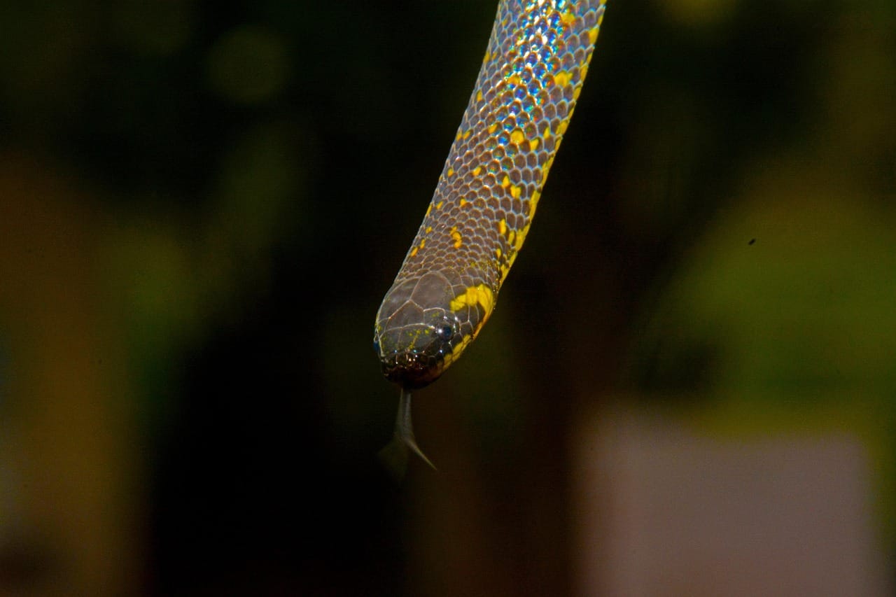 Kendinizi Motive Etmenin Yolu: "Temptation Bundling" (Haz Paketleme) Tekniği
