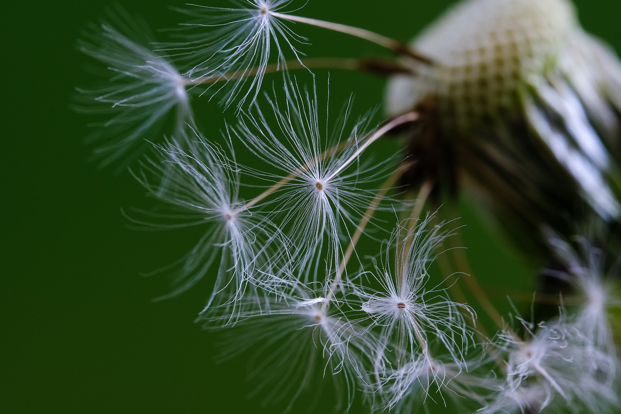 Personal Growth vs Personal Development: What’s the Difference and Why It Matters