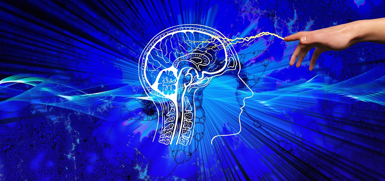 Parietal Lob: Duyu ve Algının Merkezi