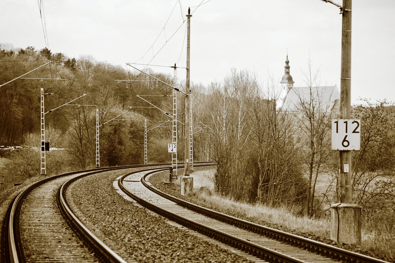 Zekâ Başarı İçin Yeterli mi? Eşik Teorisi ve Başarıya Giden Yol