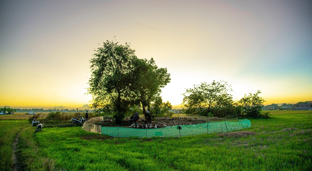Cinselliğin Psikolojik ve Fizyolojik Boyutları