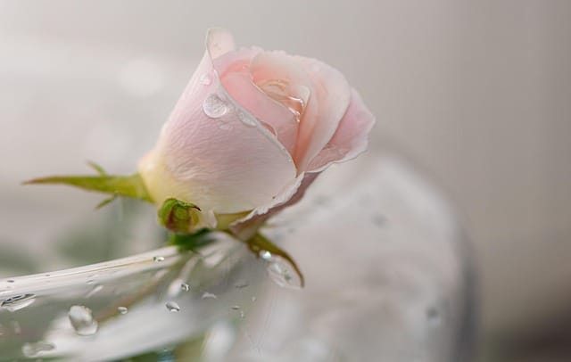 İçsel Dünyanızda Huzurlu Bir Atmosfer Yaratmak