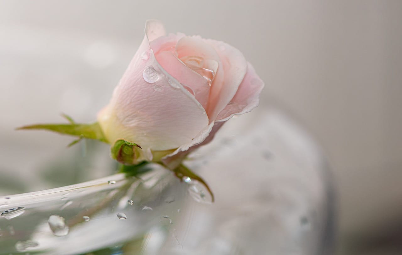 Kaygı ile Yaşamak: İç Huzura Giden Yolda Adımlar