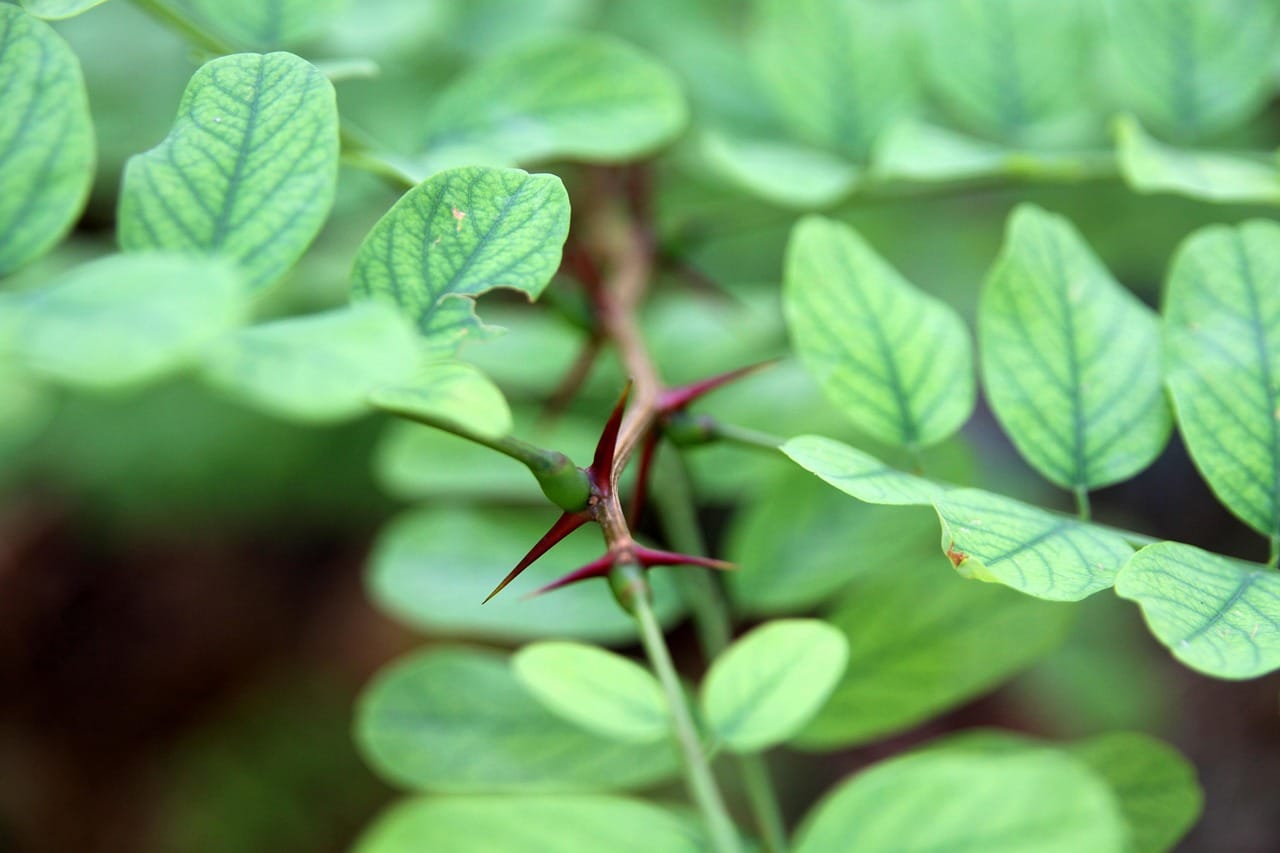 Panik Atak: Belirtileri, Nedenleri ve Başa Çıkma Yolları