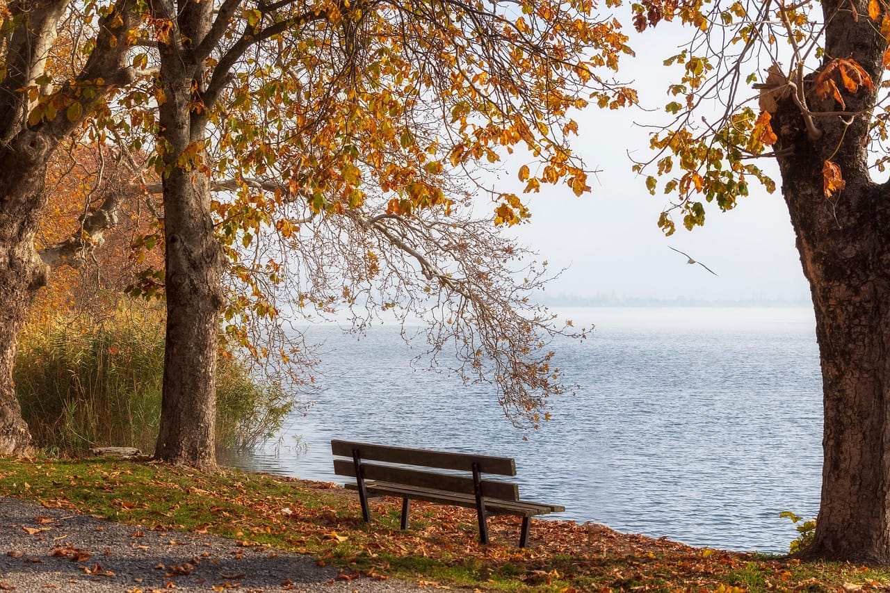 Sakinlik ve Huzura Ulaşmanın Yolları: Olumlamalar ve İpuçları