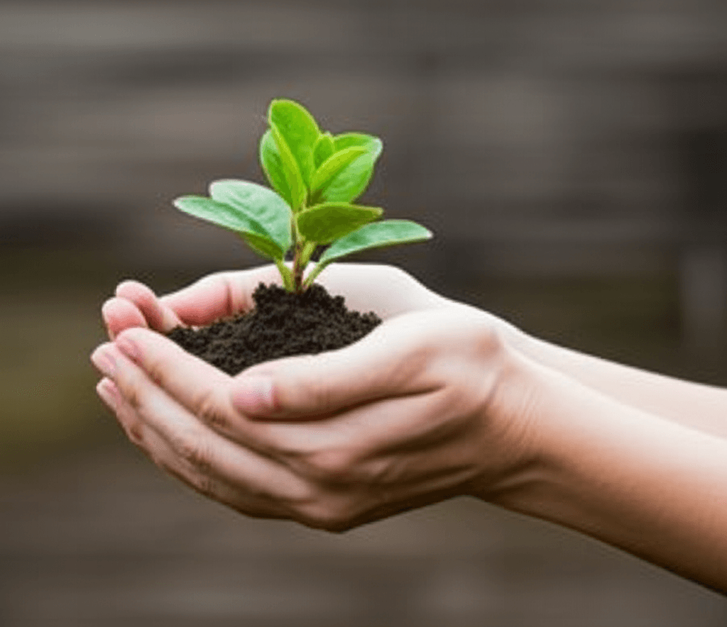 Azim ve Başarı: Potansiyelinizi Ortaya Çıkarın