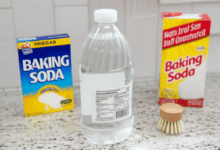 various natural cleaning supplies like vinegar baking soda and a brush on a kitchen counter create in horizontal format do not write text on image