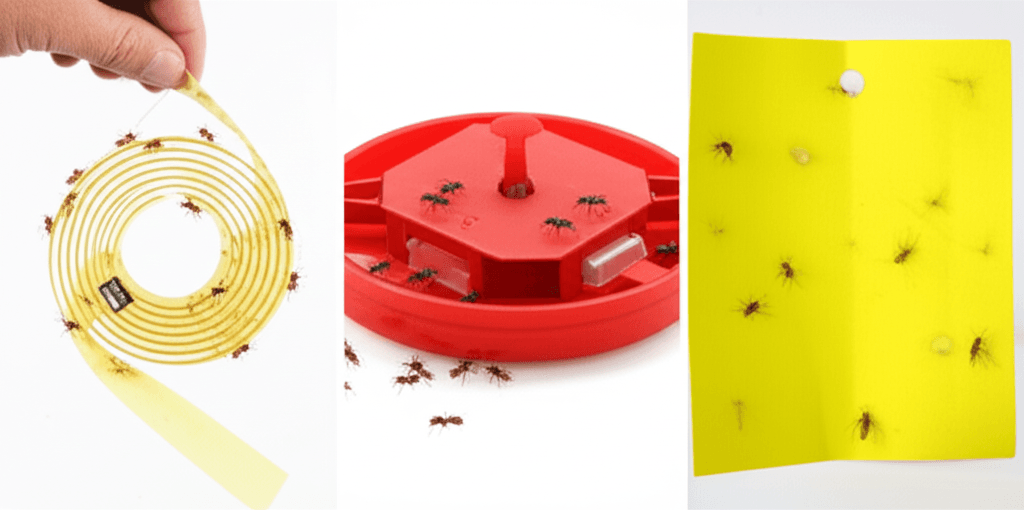 Evdeki İstenmeyen Misafirlerle Mücadele: Hamam Böceği Sorununa Kesin Çözümler