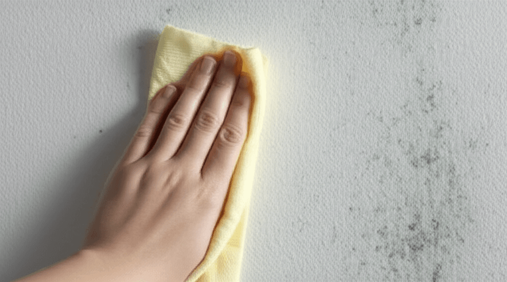 Evdeki Rutubet Sorununa Kesin Çözümler ve Pratik Temizlik Yöntemleri