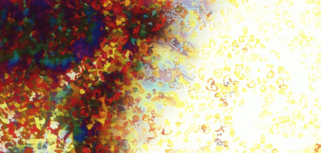 Yağ Lekesi Nasıl Çıkarılır: Evdeki En Etkili ve Pratik Çözümler