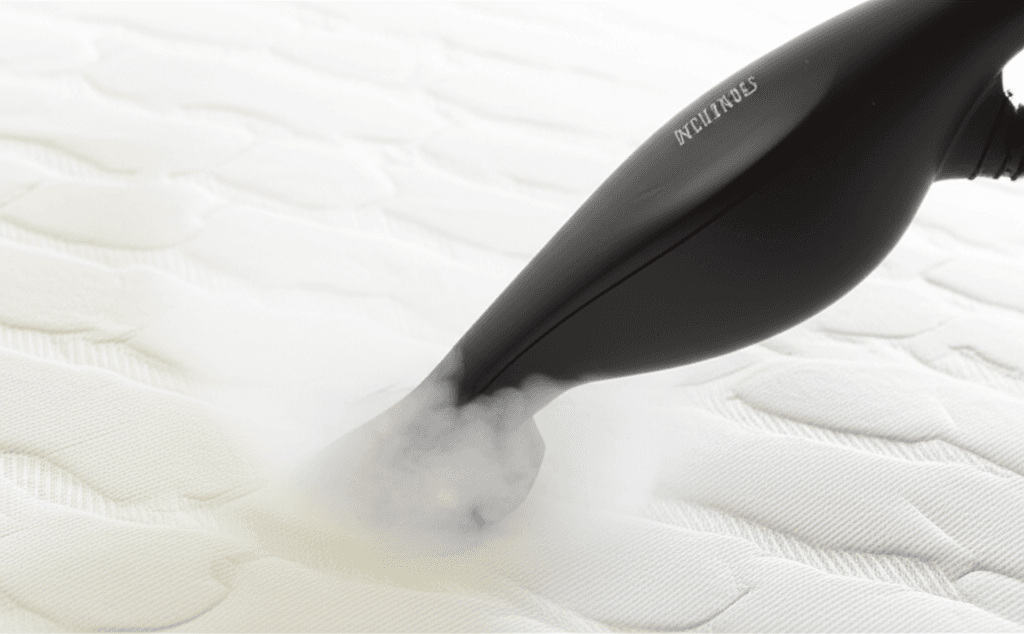 Yatak Böceklerinden Kurtulmanın Etkili Yolları