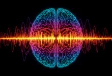 brain waves