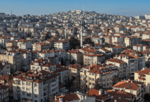 Beyaz Renk Tonları: Gölgeden Parlaklığa Uzanan Yolculuk