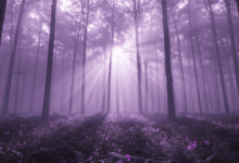 A mystical forest scene with subtle purple hues